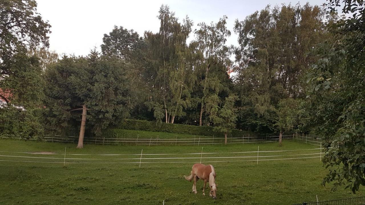 Ferienwohnung Sonnenschein Burgau Zewnętrze zdjęcie